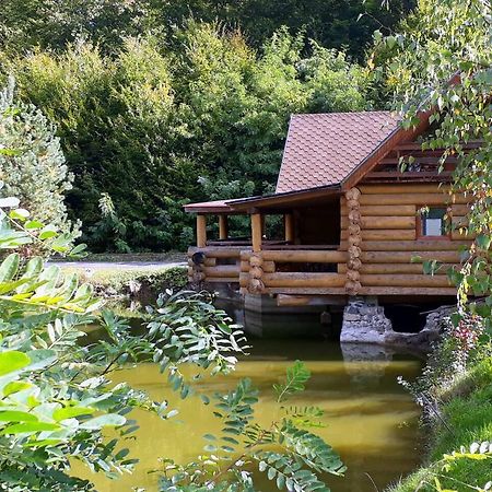 Rancho 555 Guest House Uzhhorod Luaran gambar