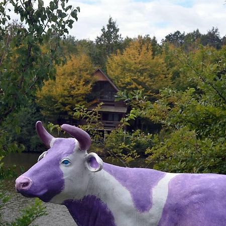 Rancho 555 Guest House Uzhhorod Luaran gambar
