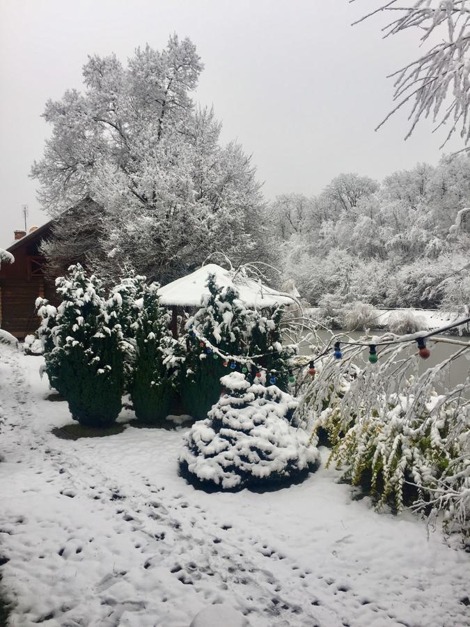 Rancho 555 Guest House Uzhhorod Luaran gambar